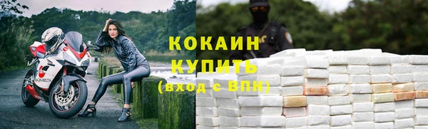 прущие крисы Арсеньев